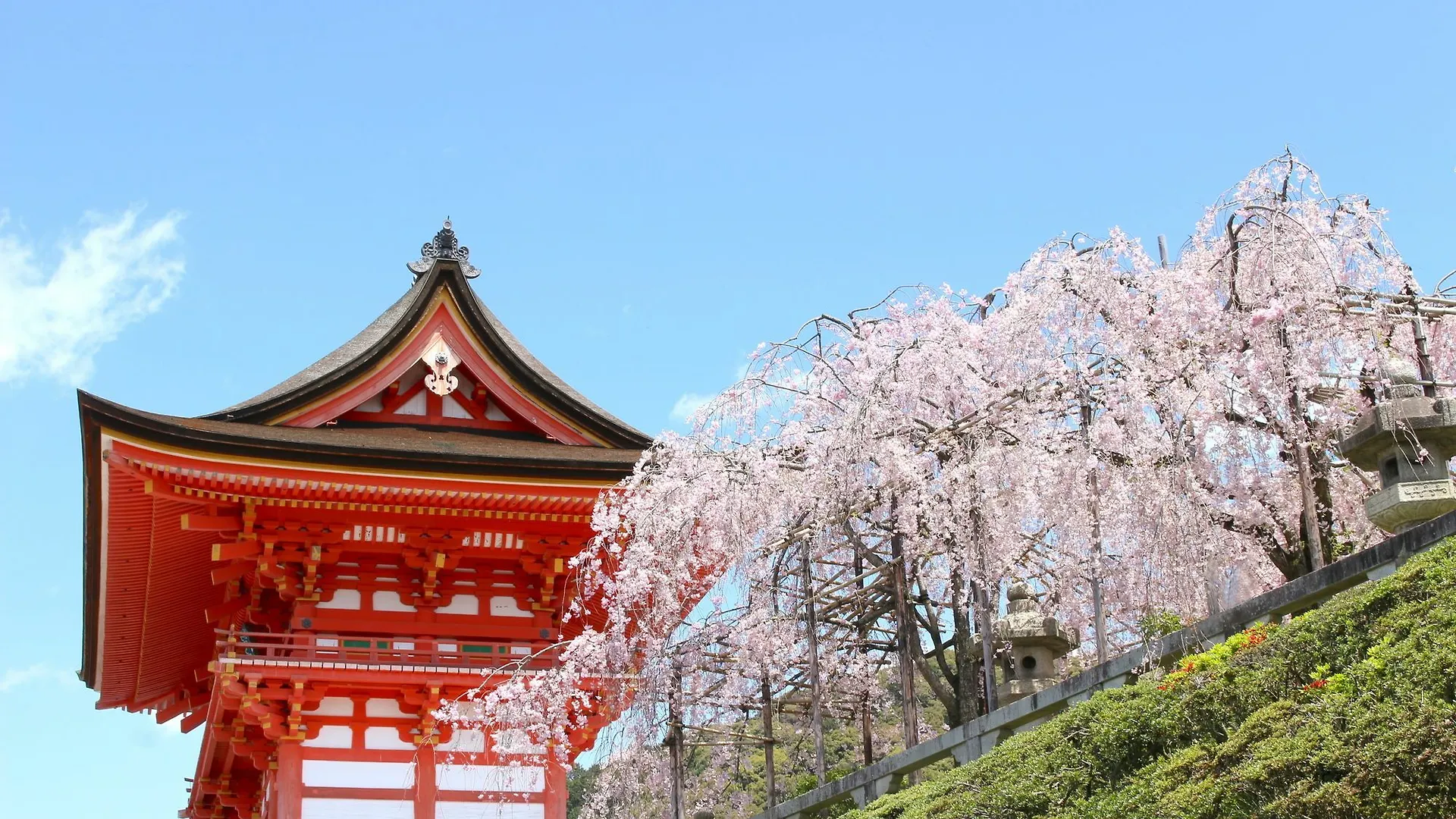 Stay SAKURA 京都 二条四季
