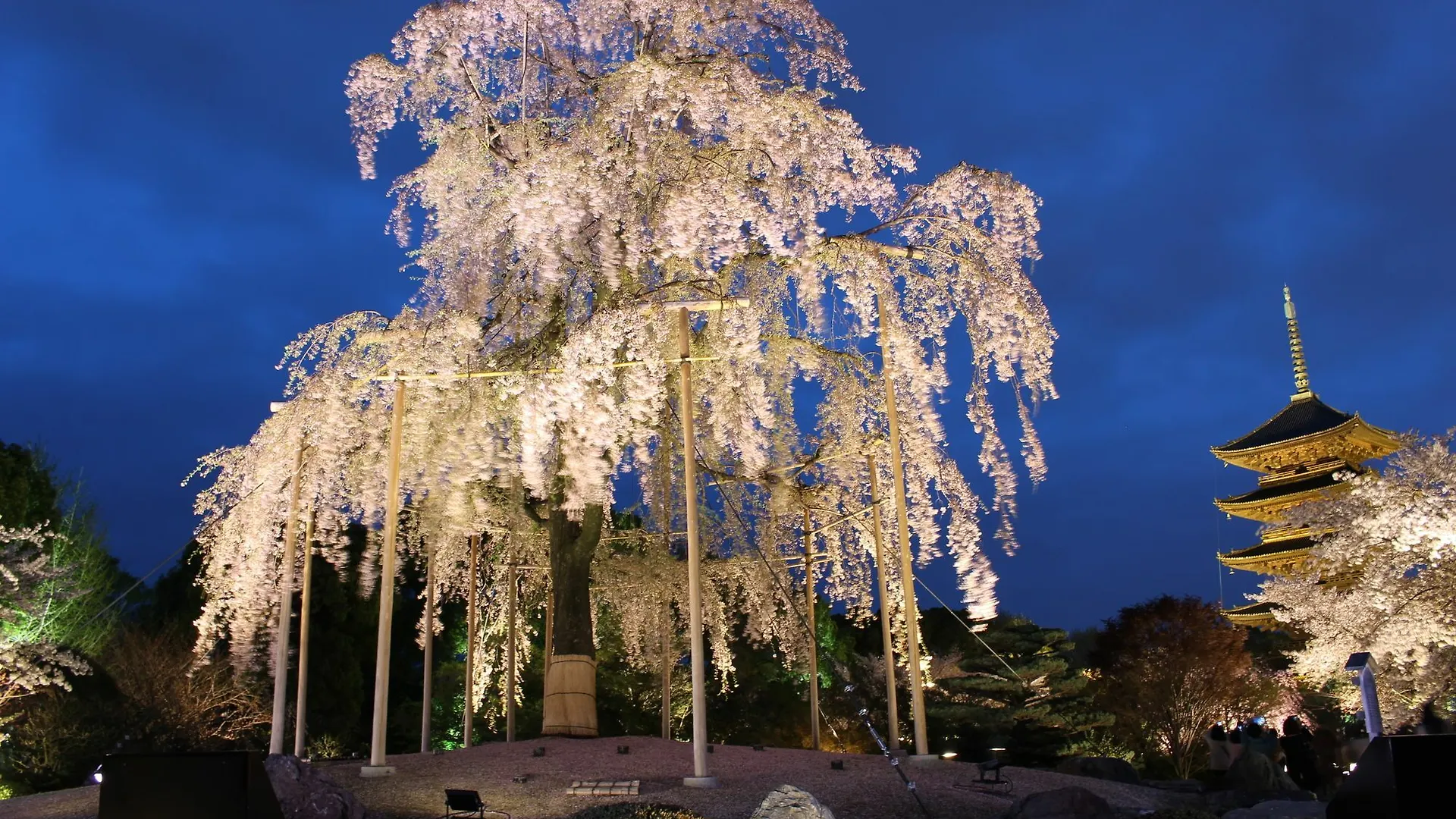 Stay Sakura Kyoto Nijo Seasons Japan